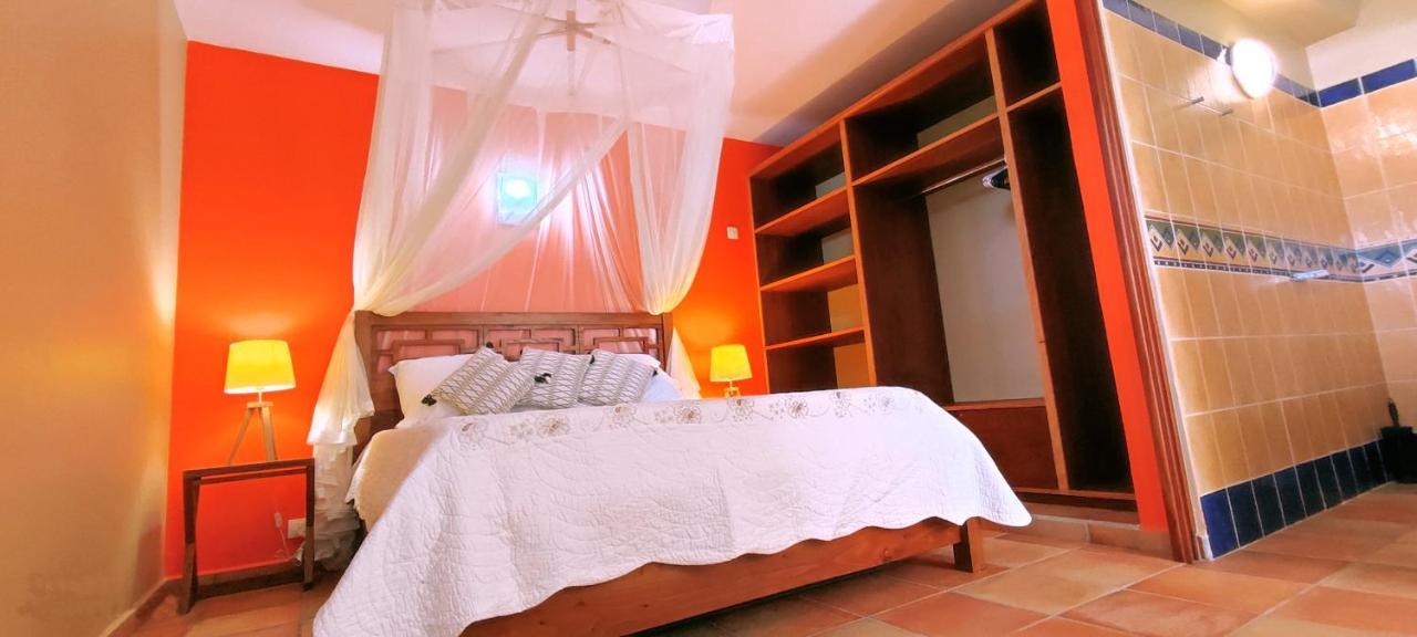 T2 D'Alice Sainte Anne Centre Appartement Buitenkant foto